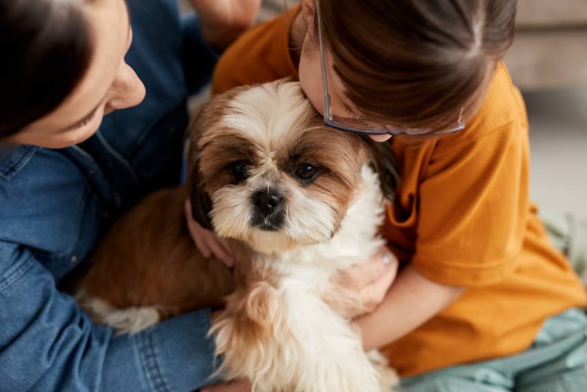 family playing with cute dog